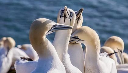 爱游戏下载_ 未来电竞选手的培养：从青训开始的探索，爱游戏电子 竞技