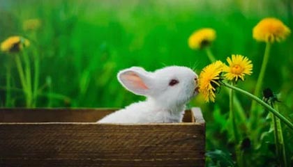 爱游戏下载_ 最新科技助力电竞赛事，提升比赛公正性，爱游戏官网客户端手机版