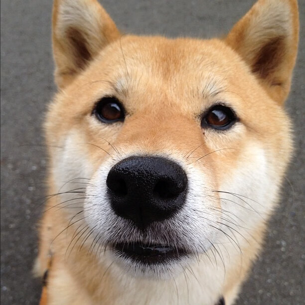 “惊天逆转！抢先领先后被逆转，剧情反转精彩纷呈”，惊天逆转最后捡走u盘的人是谁