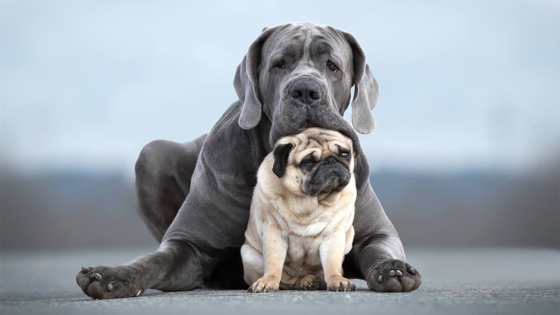 绿色赛事成为新趋势：低碳环保理念深入行业，绿色低碳生态环保