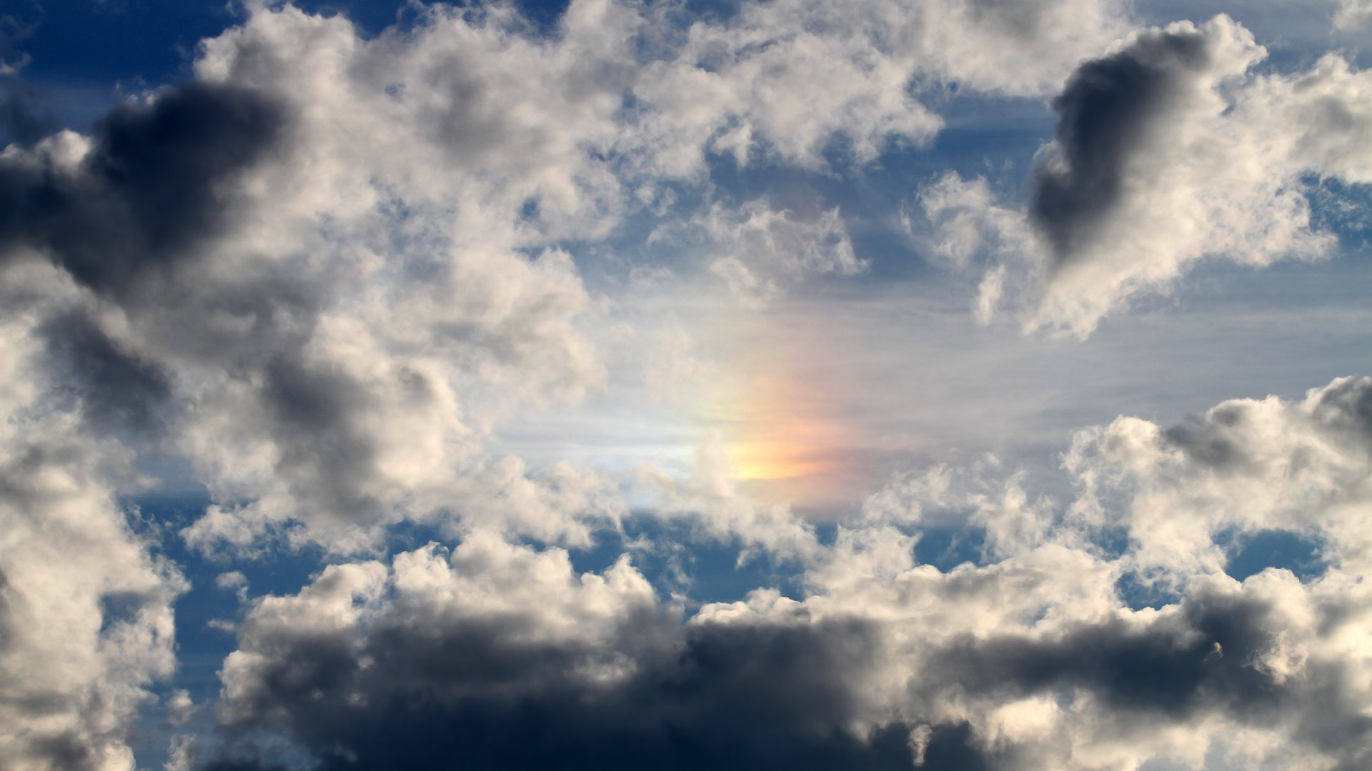 青少年“运动+文化”创新大赛在杭州盛大举办，推动体育文化发展