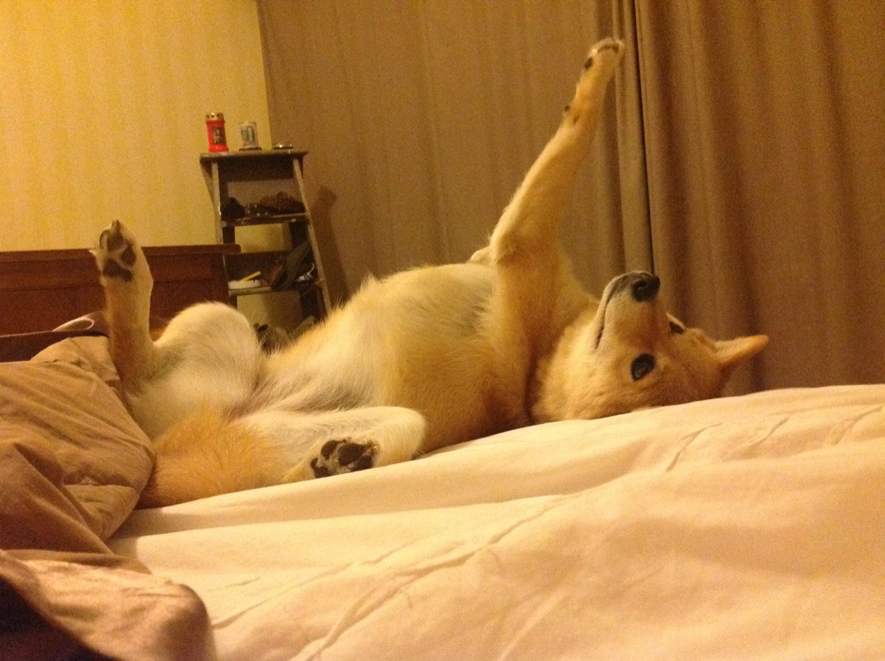 堡垒之夜上线NBA球星皮肤，堡垒之夜上线nba球星皮肤会返场吗