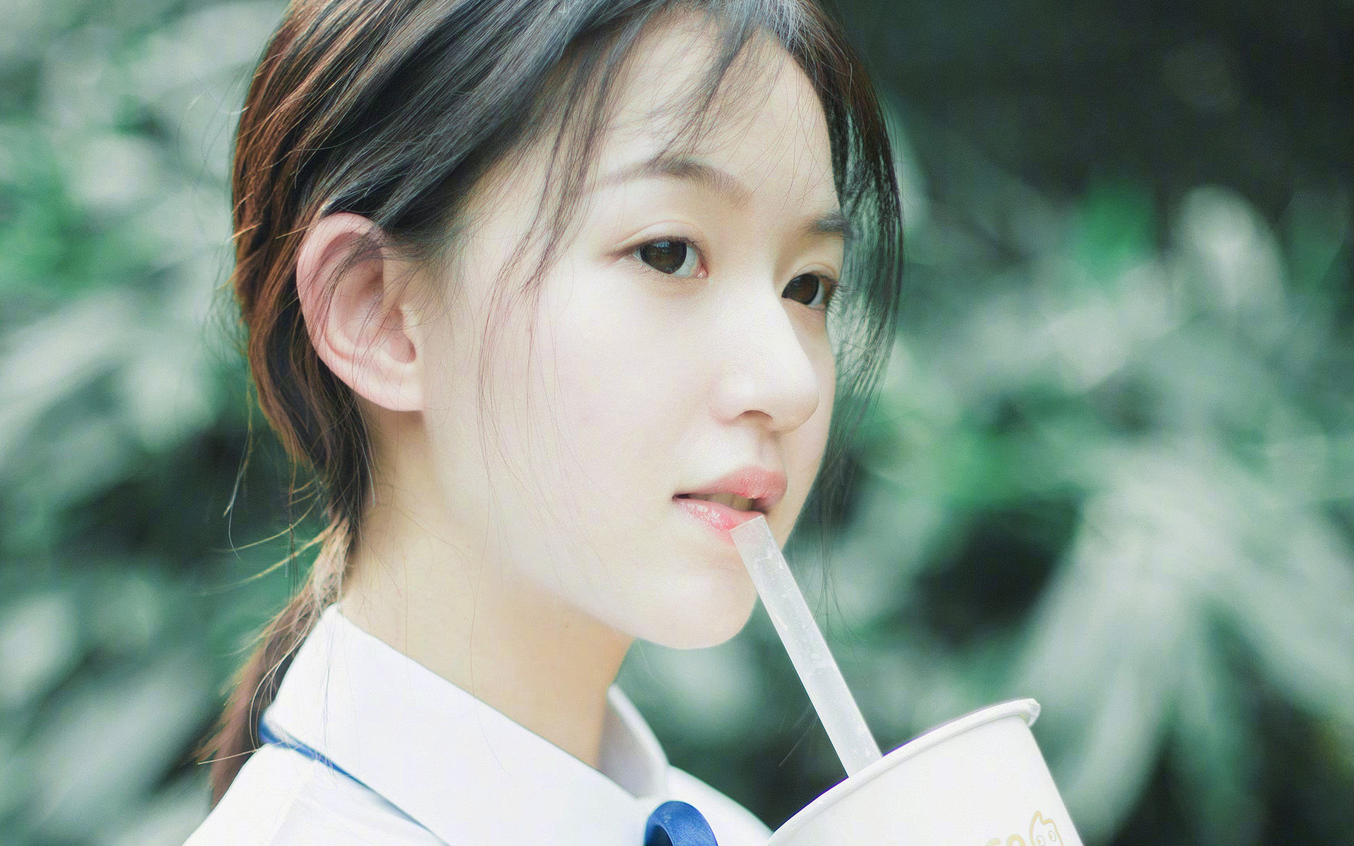 山东泰山锋线表现助力连胜，山东泰山阵型