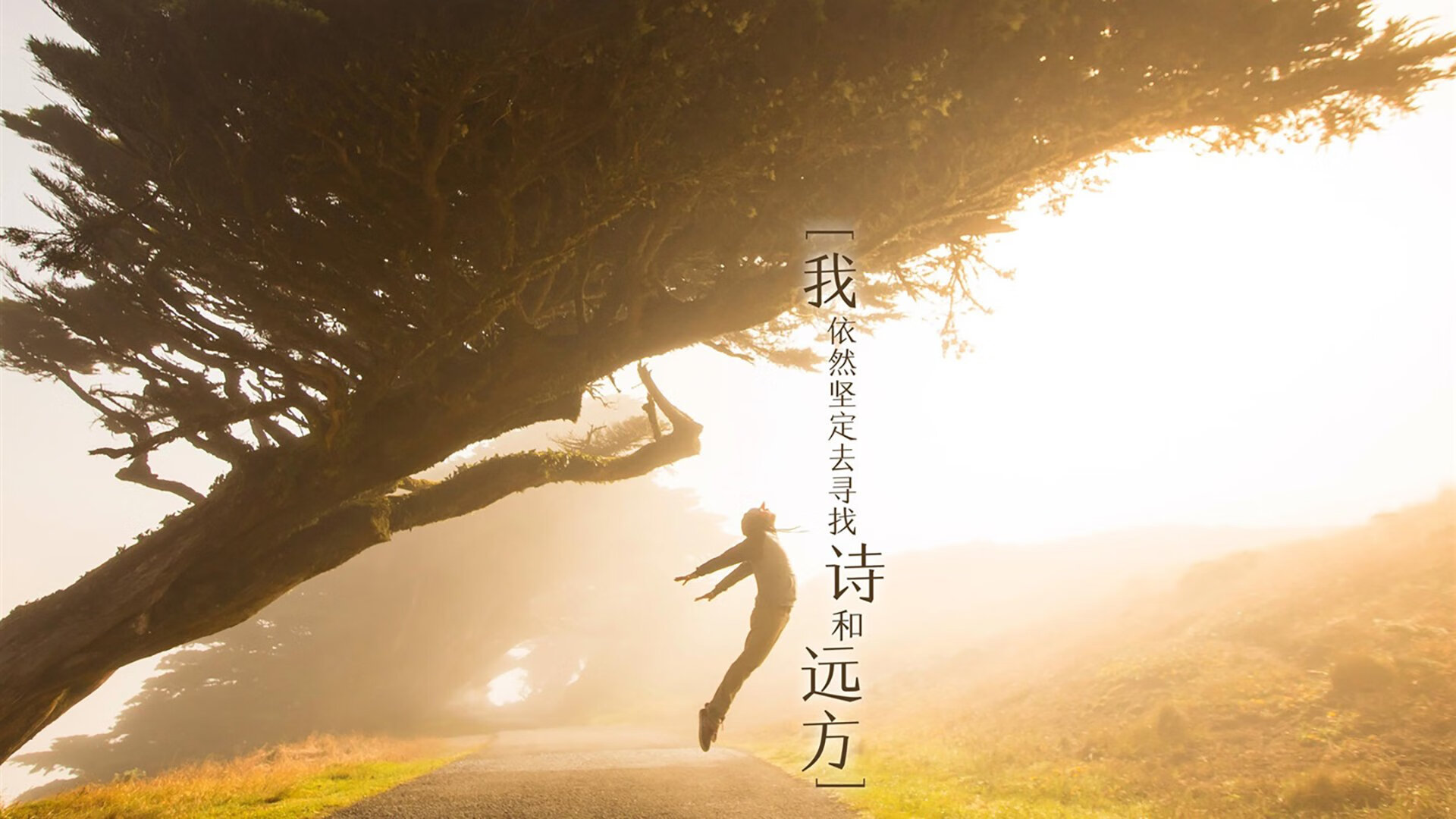 独立队主场战胜劲敌，独立队对防卫者