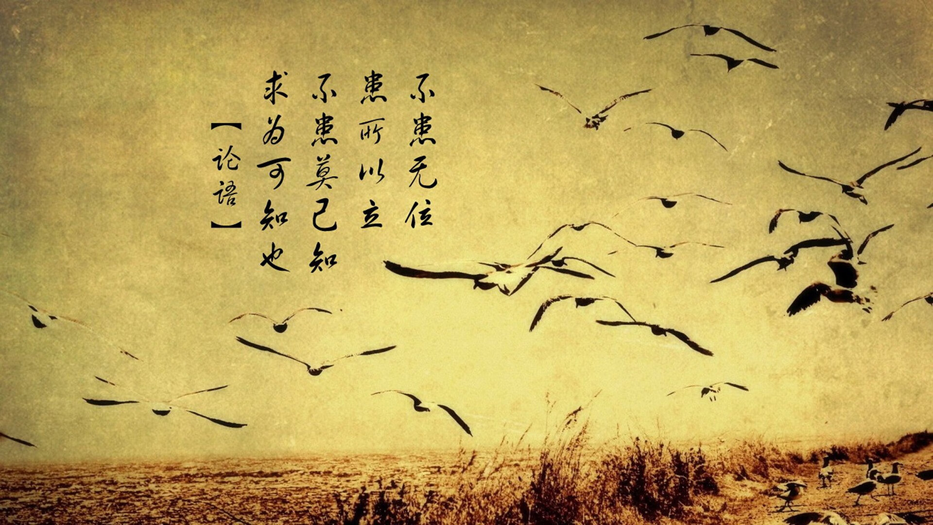 皇家贝蒂斯稳扎稳打，客场击败对手，行进顺利，皇家贝蒂斯比赛预测聚胜顽球汇