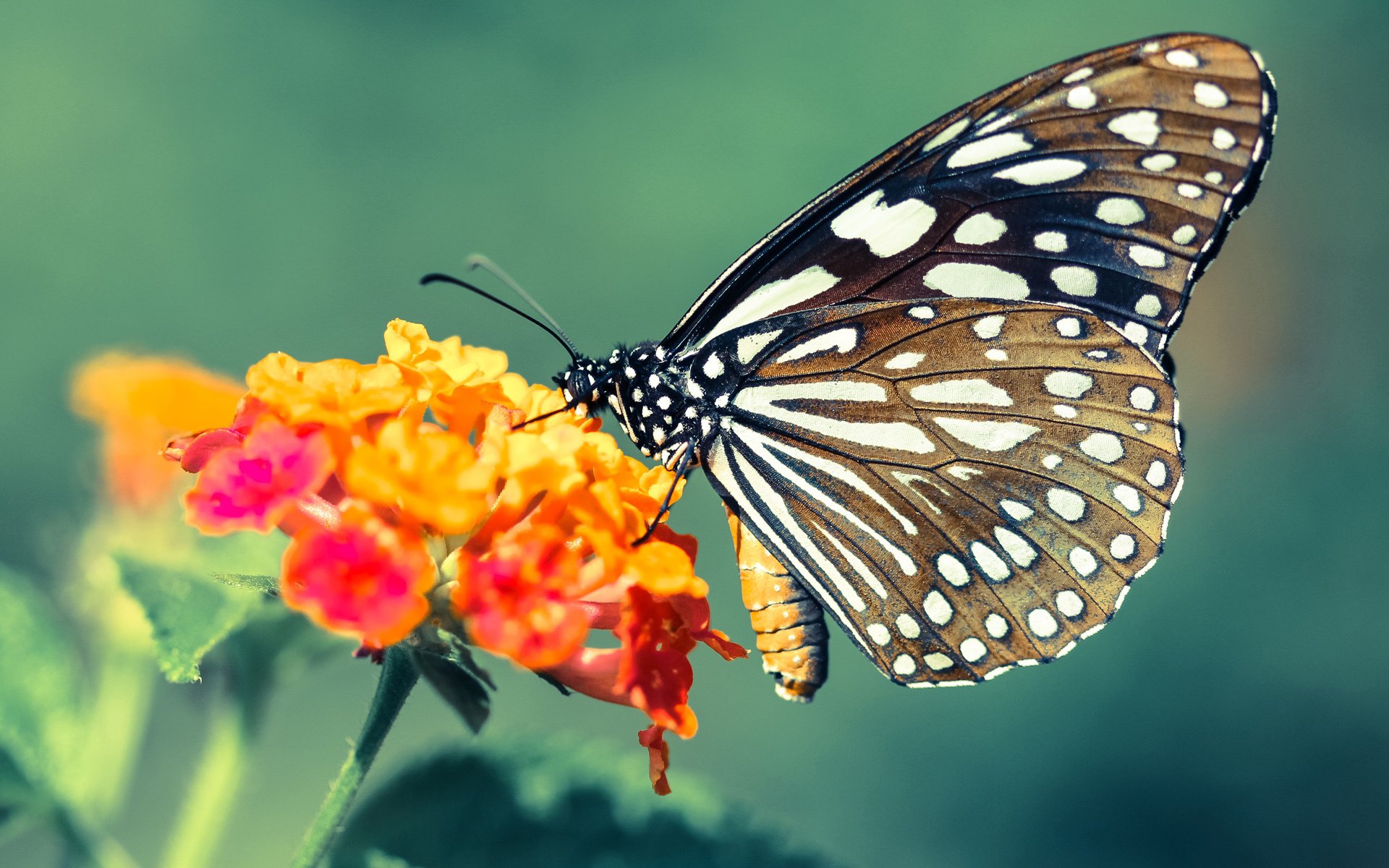 多位运动员社交媒体互动拉近与粉丝距离扩大影响力,运动员应对媒体的策略